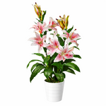 90cm Artificial Lily Stargazer Style Lillies Plant Large Flowers Pink