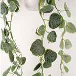 90cm Artificial Potted Hanging Trailing Green Plant - String Of Hearts