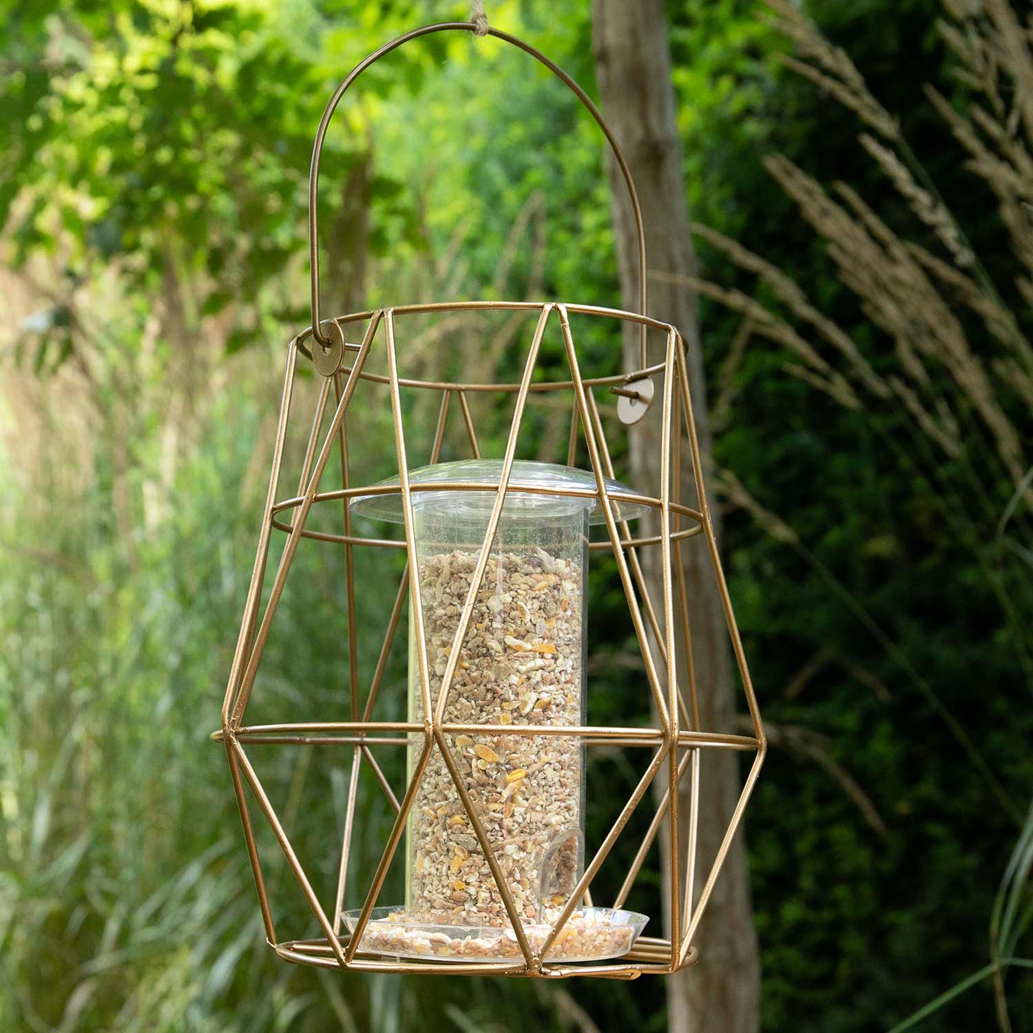 Aura Small Bird Feeder, 200g Capacity | Gold