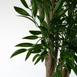 Artificial 140cm Uv Resistant Ruscus Tree