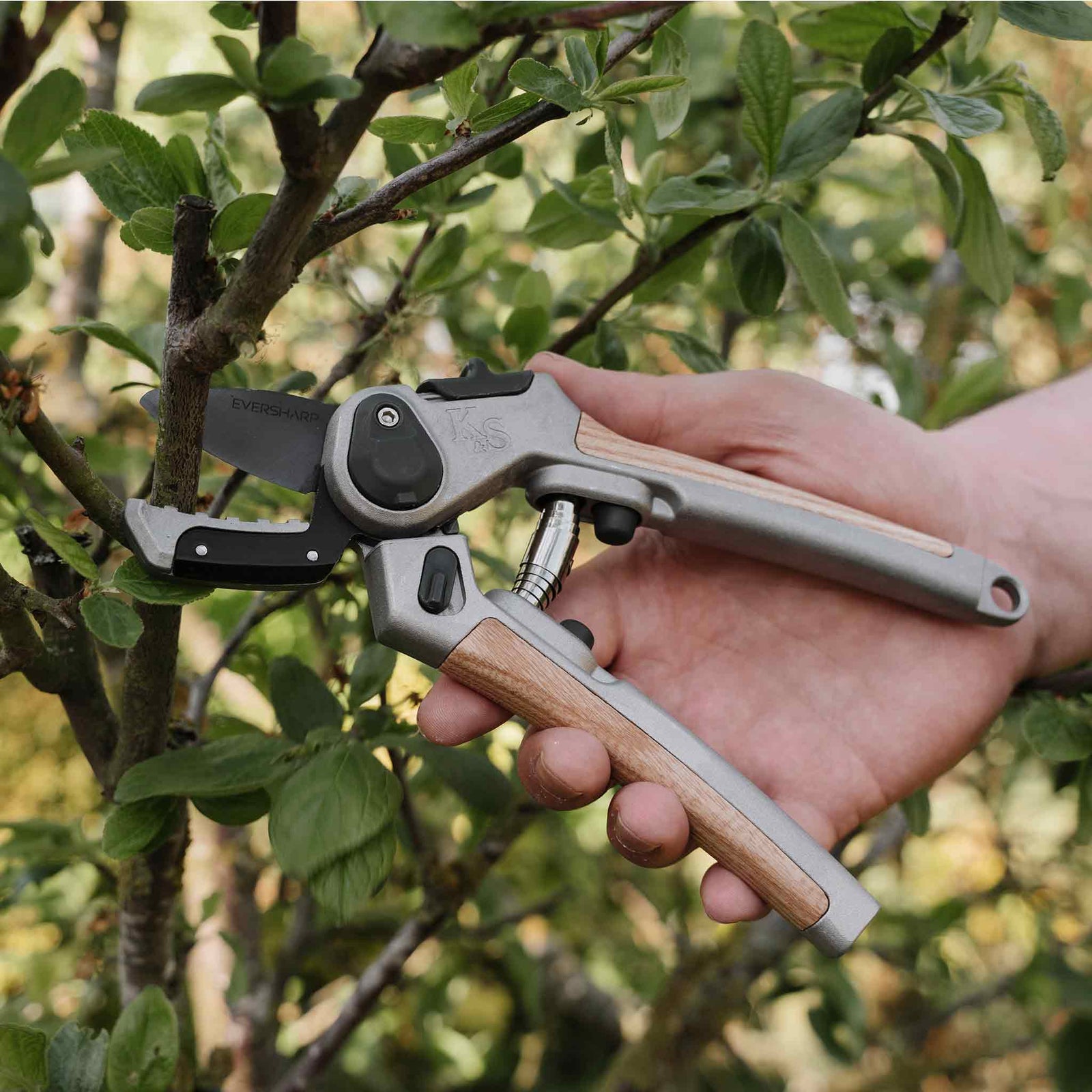 Eversharp™ Premium Secateurs Duo Gift Set