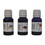 Taya Oil Burner Set | Set of 1 | White