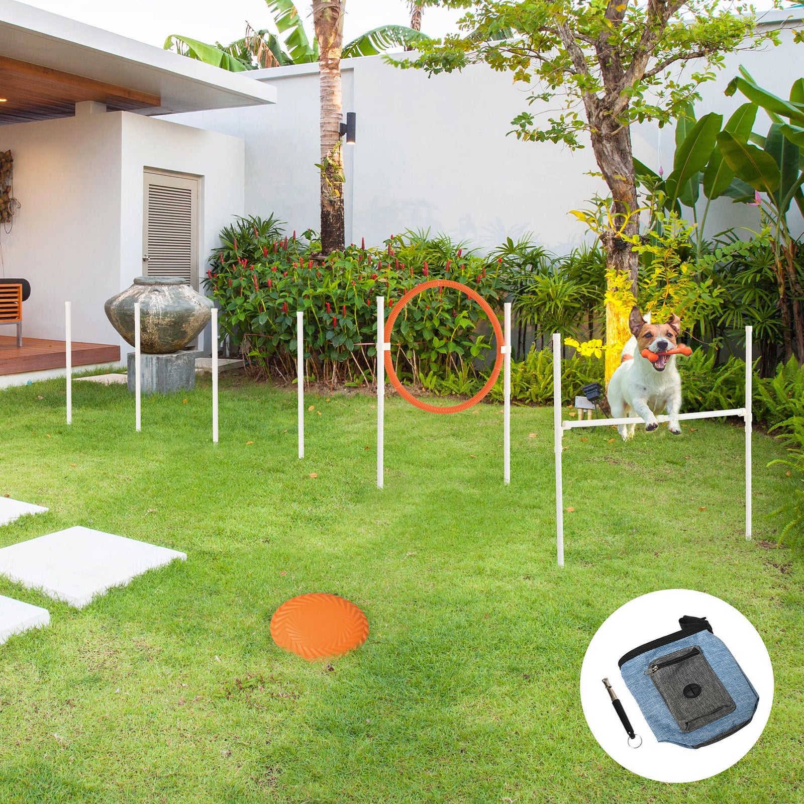 Dog Agility Equipment Obedience Training Set For Dogs - Multicoloured