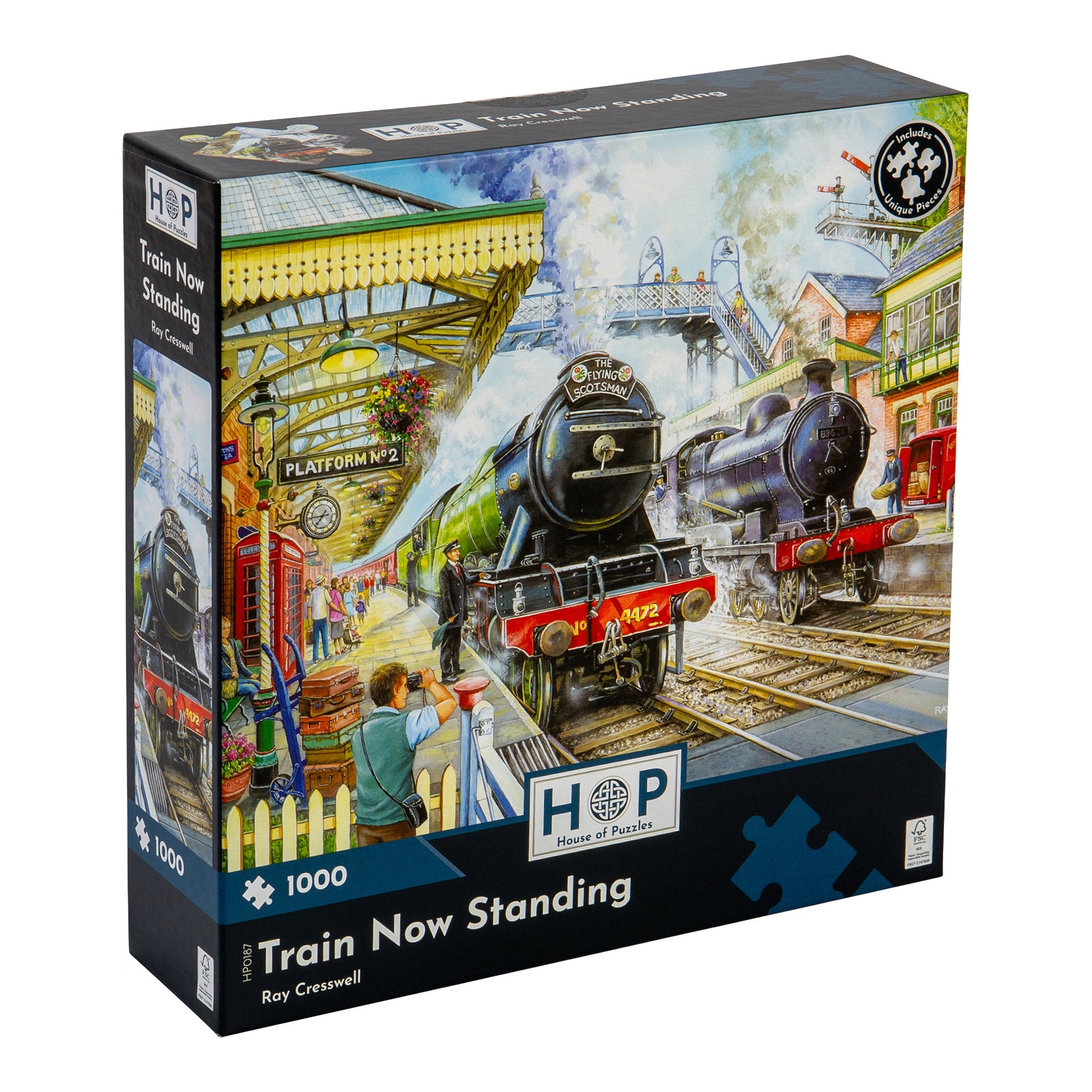 Train Now Standing - 1000 Piece Jigsaw Puzzle For Adults