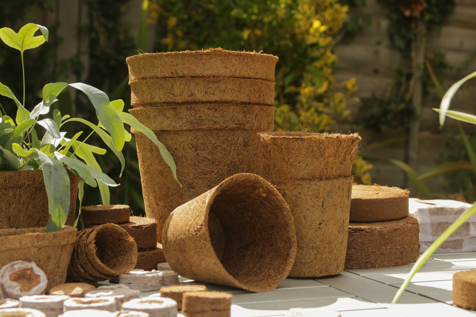 23cm Coir Pots Pack Of 10
