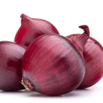 Marshalls Garden Autumn Planting Onion Sets 'electric' - Approx 65-75 Sets