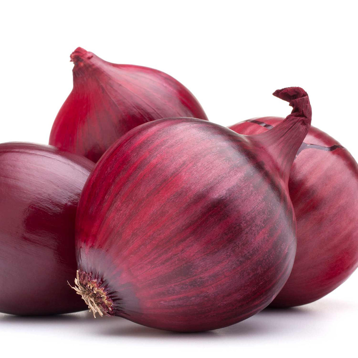 Marshalls Garden Autumn Planting Onion Sets 'electric' - Approx 65-75 Sets