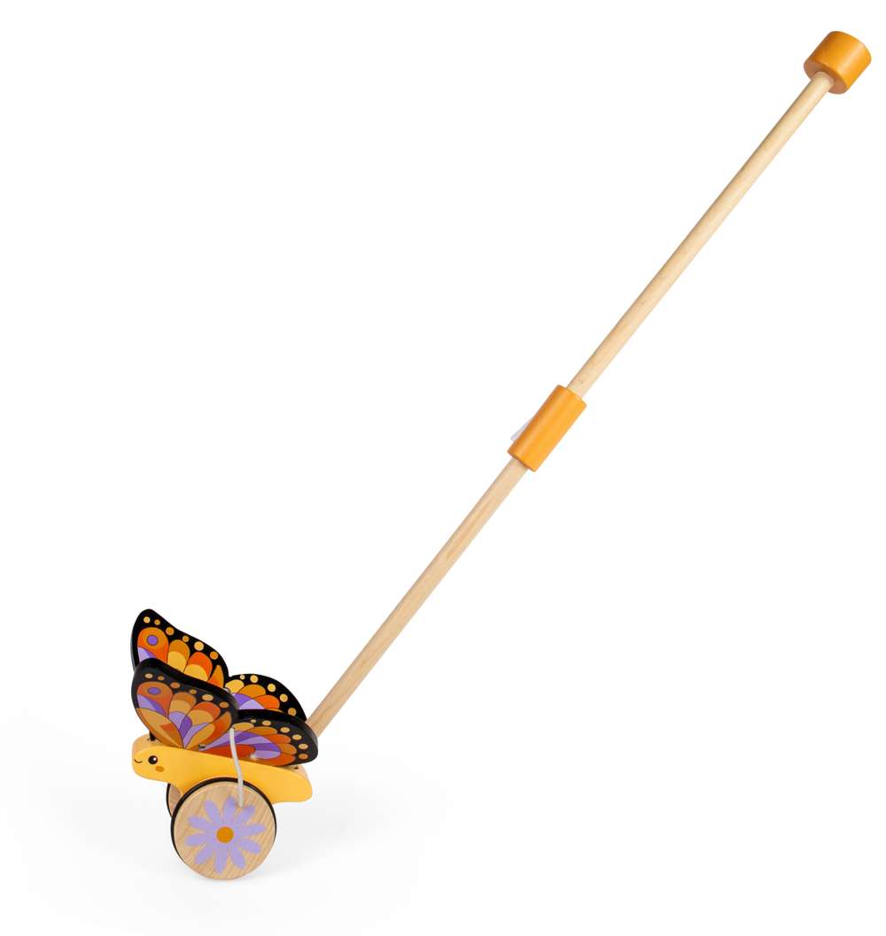 Bigjigs Toys Butterfly Push Along