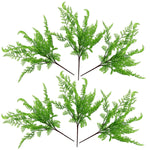 6 X 50cm Southern Wood Fern Bush Dark Green Plant