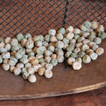 Pea Seeds 'ruselargo' Maincrop, Disease-resistant | 300 Seeds