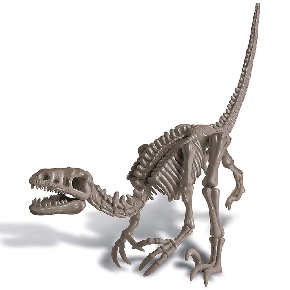 Kidzlabs - Dig A Dinosaur Skeleton - Velociraptor