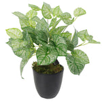 Artificial 40cm Caladium Plant With Pot