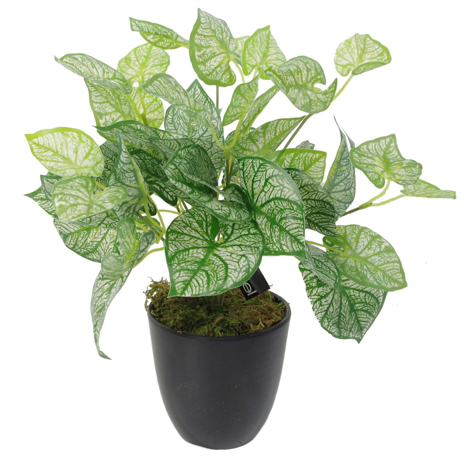 Artificial 40cm Caladium Plant With Pot