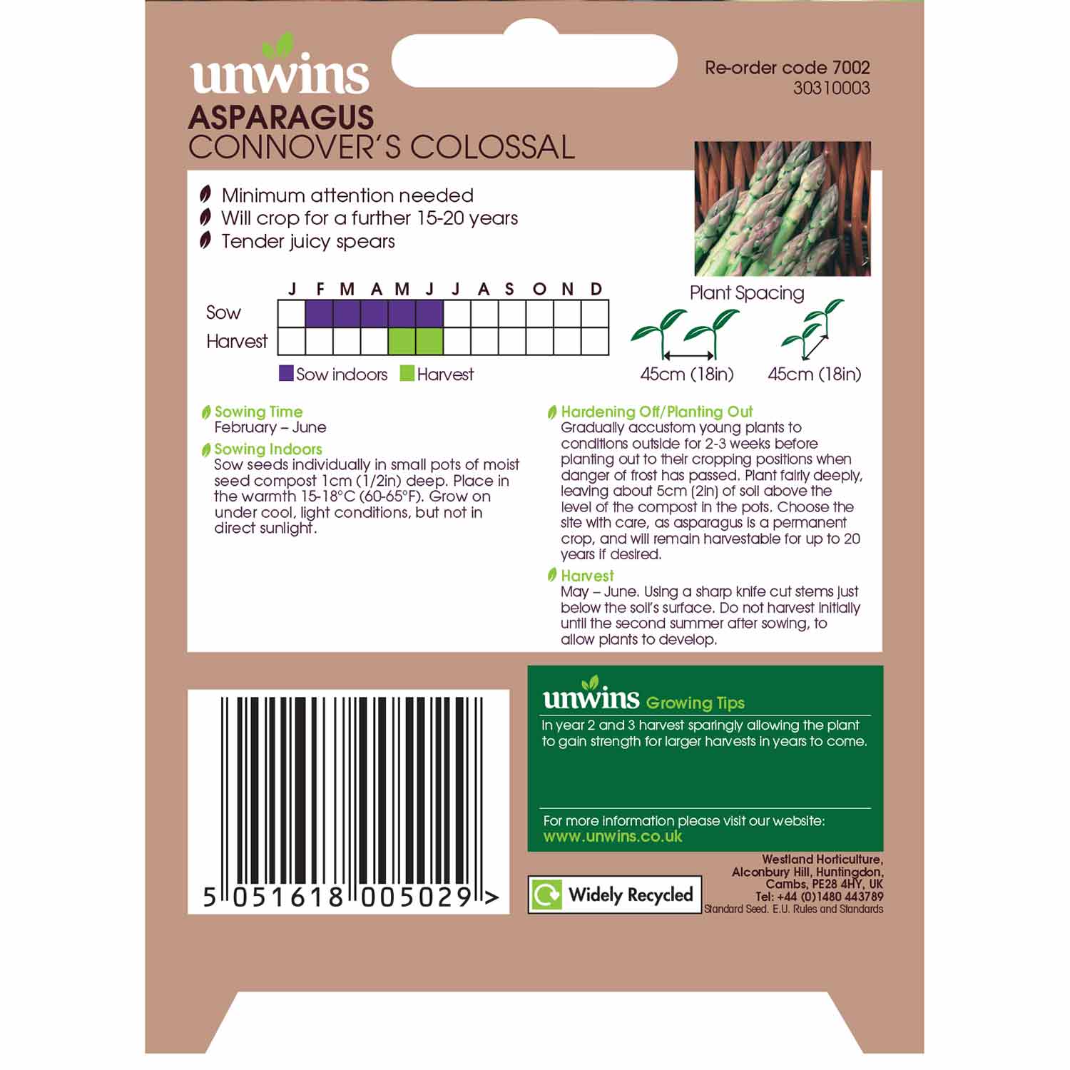 Asparagus 'connover's Colossal' Seeds | 120 Seeds | Purple & Green