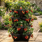 Thompson & Morgan Strawberry Summer Long Collection - 9 Plants + Stacking Planter