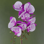 50cm Phalaenopsis Orchid Artificial Purple And White Gold Pot
