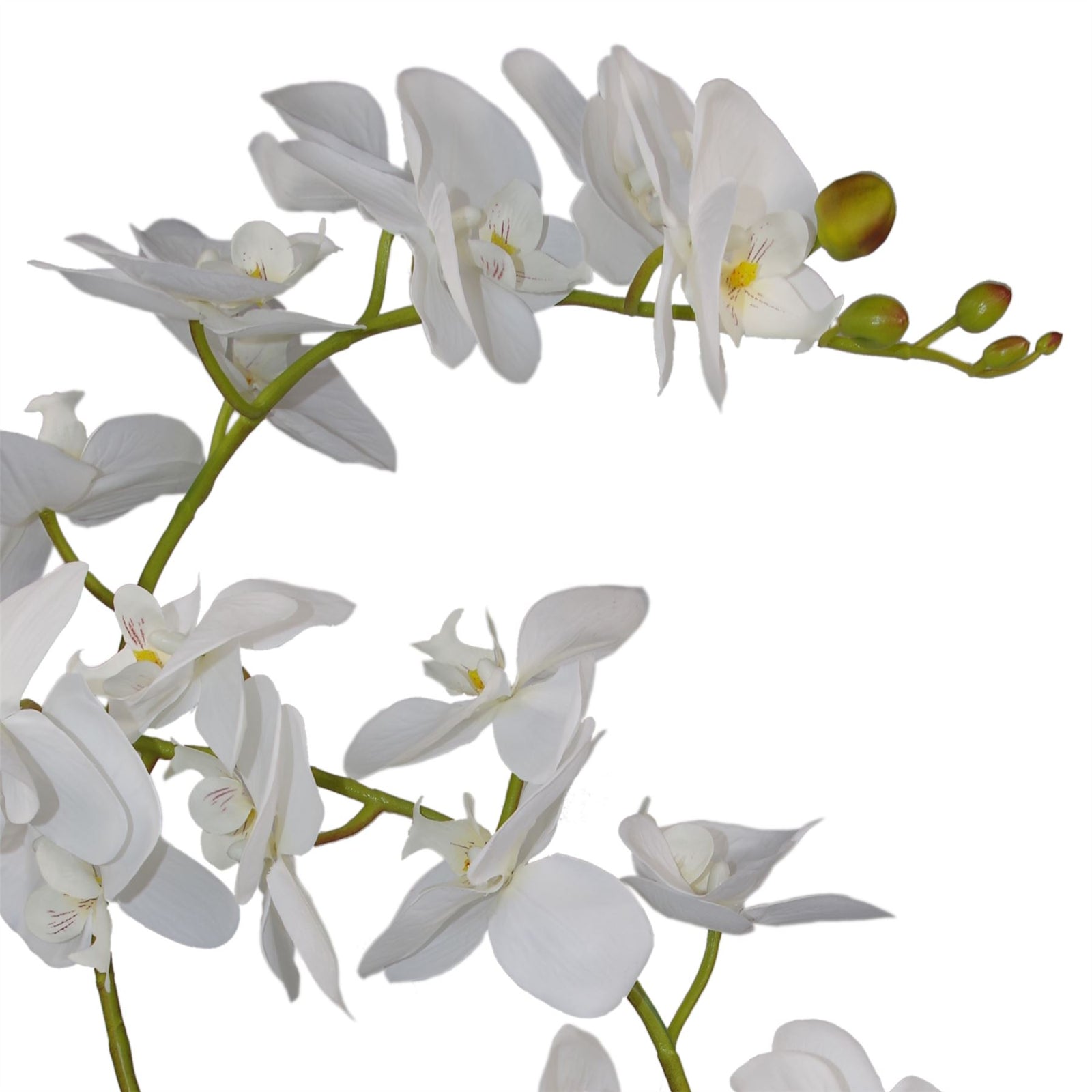 65cm Artificial Luxury Artificial Orchid - 3 Stems - Soft White Plant