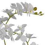 65cm Luxury Artificial Orchid 3 Stems Soft White Plant