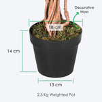 Artificial Handcrafted Ficus Tree With Real Wood Trunk | 4ft | Green