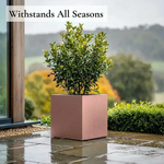 Zinc Galvanised Square Planter | 50cm x 50cm x 50cm | Rose Gold