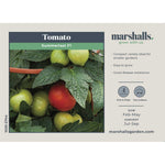 Summerlast F1 Tomato Seeds | 6 Seeds