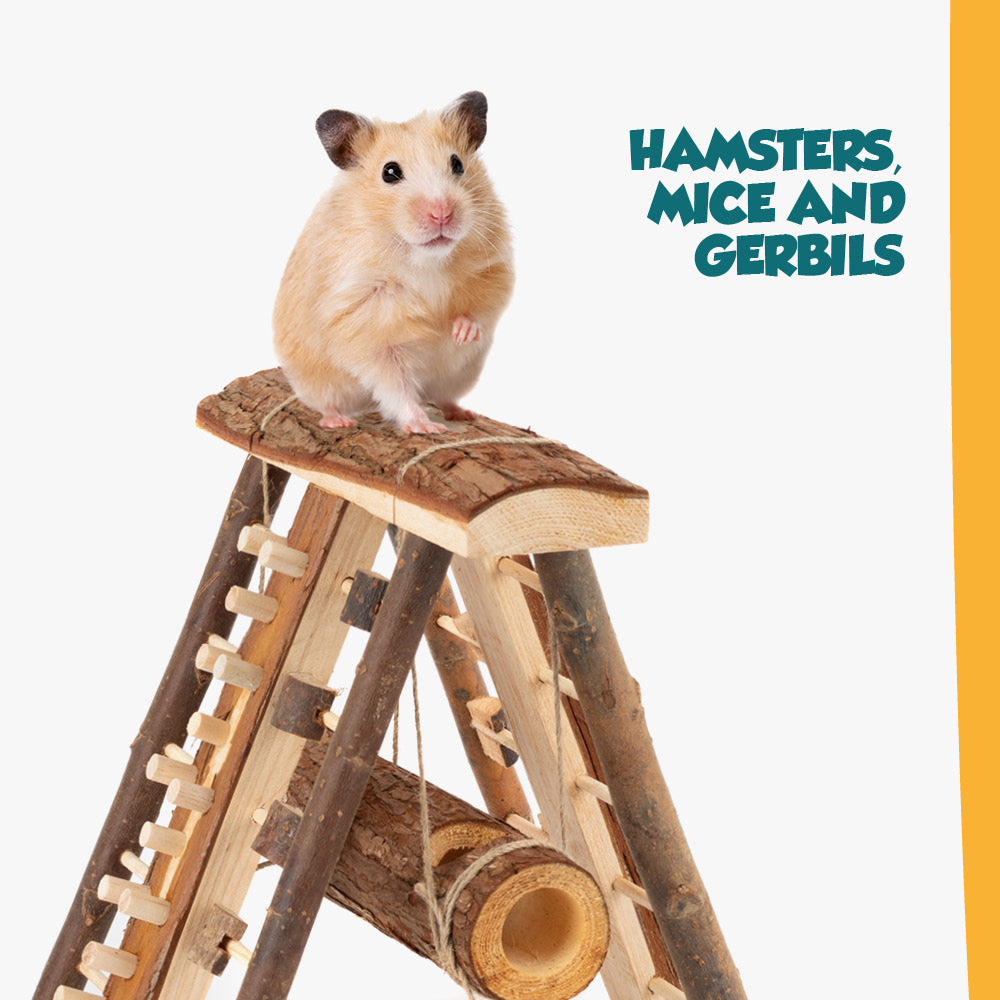 Hamster Wooden Climbing Wall