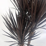 155cm Uv Resistant Artificial Triple Yukka Tree Plant Tree Triple Dark