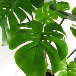 Artificial Monstera Plant Twisted Cheese Plant 60cm Uk