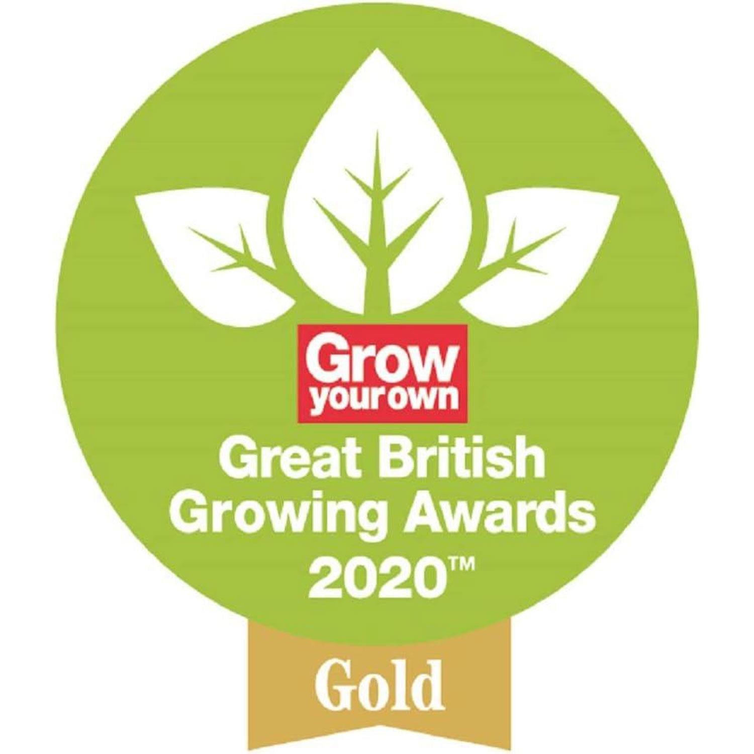 Garden Brush Natural With Weatherproofed, Brown & Green