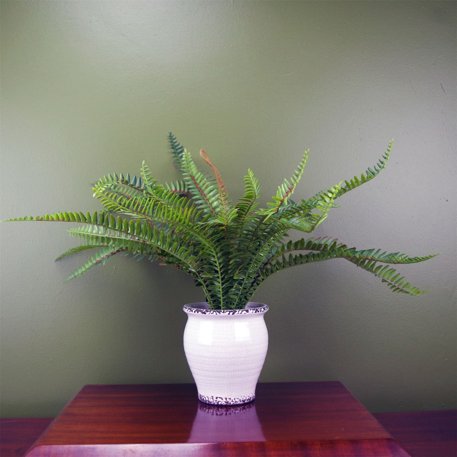 Artificial 40cm Bushy Fern Potted In Decorative Planter