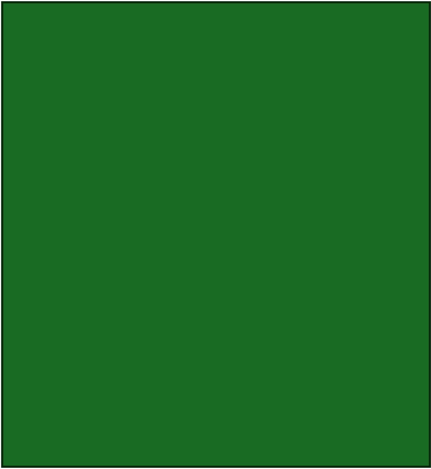 Deluxe Electric Throw Heated Double Over Blanket Soft Fleece  9 Heat & 12 Timer Settings | L | Green