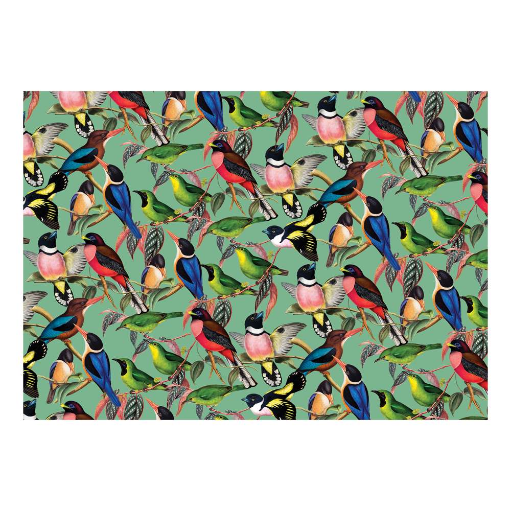 The House of Puzzles ZSL Brilliant Birds 1000 Piece Jigsaw Puzzle