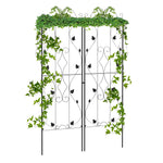 Leaf Design 2 Metal Plant Trellis 50 X 181cm