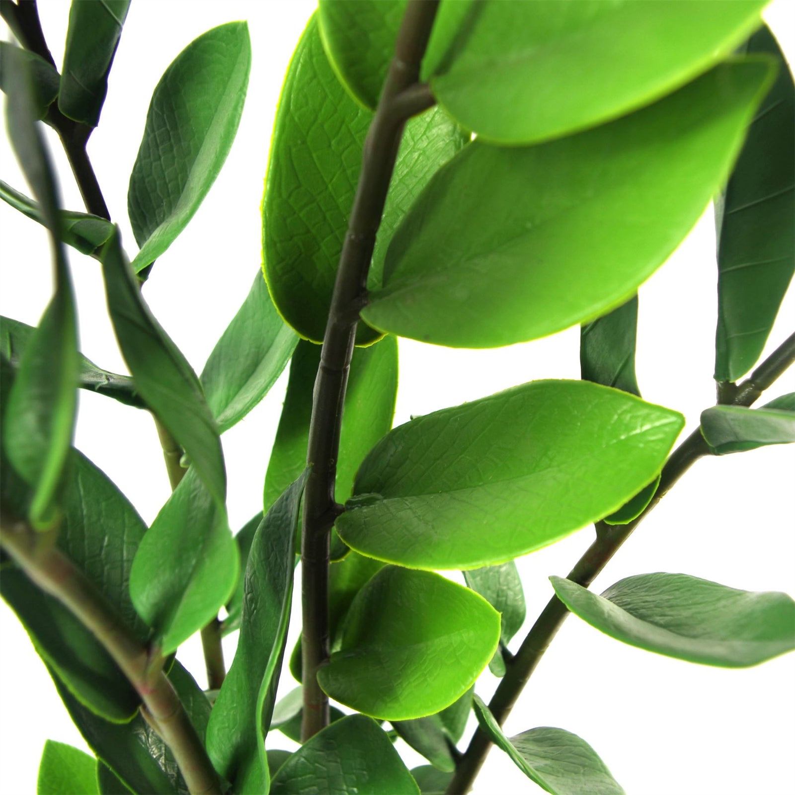 Artificial 75cm Zanzibar Green Gem Zamioculcas Succulent Indoor Plant