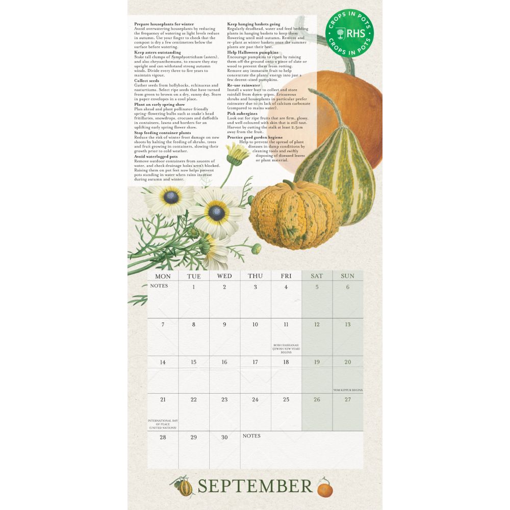 2026 Mini Calendar Official Product