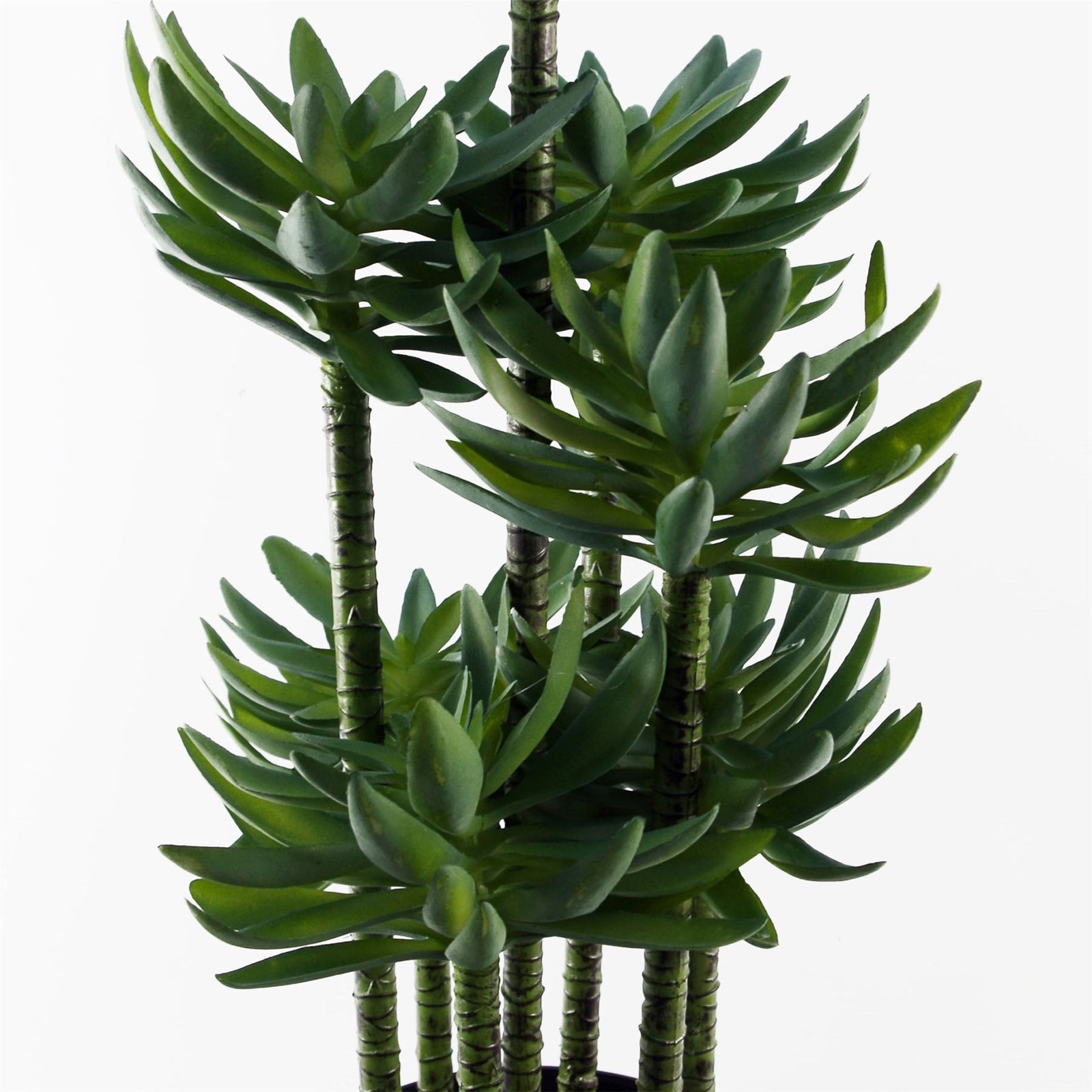 60cm Artificial Tropical Yukka In Planter