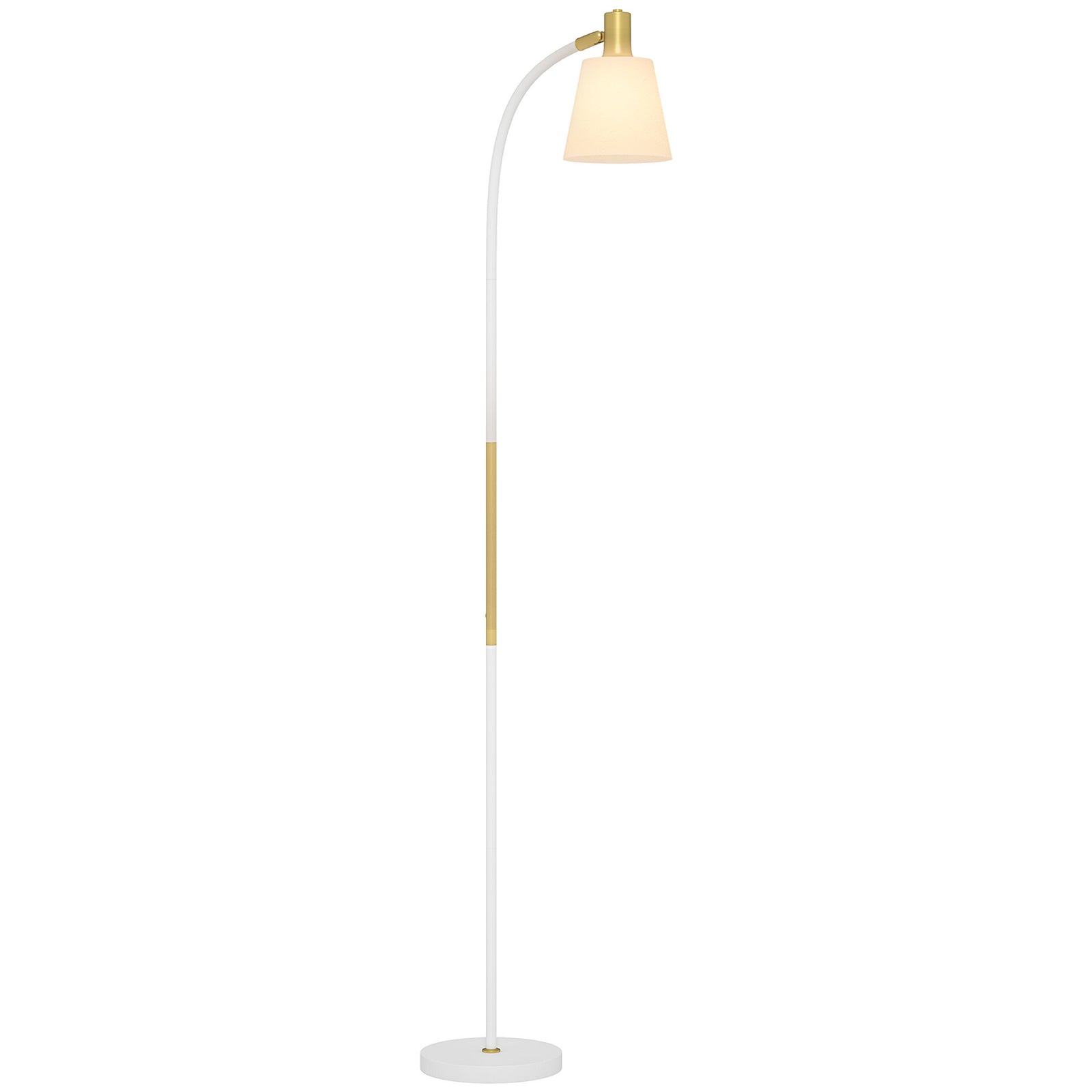 Spotlight Reading Standing Lamp With Adjustable Height