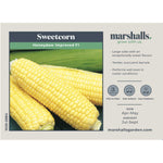 Sweetcorn Seeds Honeydew Improved F1 50 Seeds | 50 Seeds