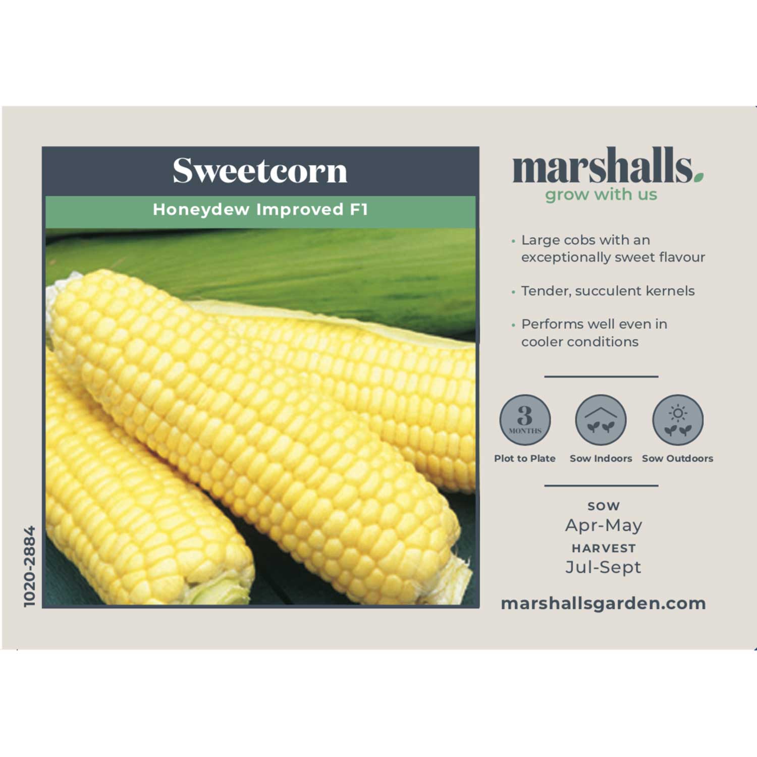 Sweetcorn Seeds Honeydew Improved F1 50 Seeds | 50 Seeds