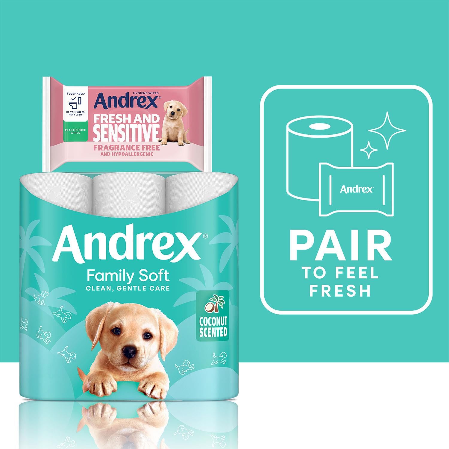 Toilet Rolls Coconut Fresh X45 2 Ply Toilet Tissue Paper