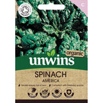 Organic Spinach 'america' | 500 Seeds | Green