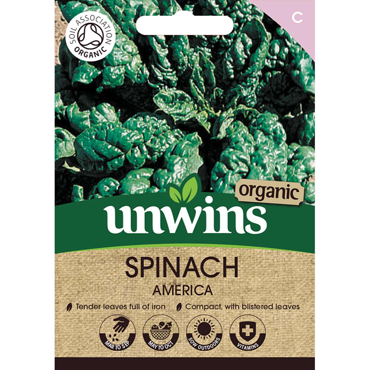 Organic Spinach 'america' | 500 Seeds | Green