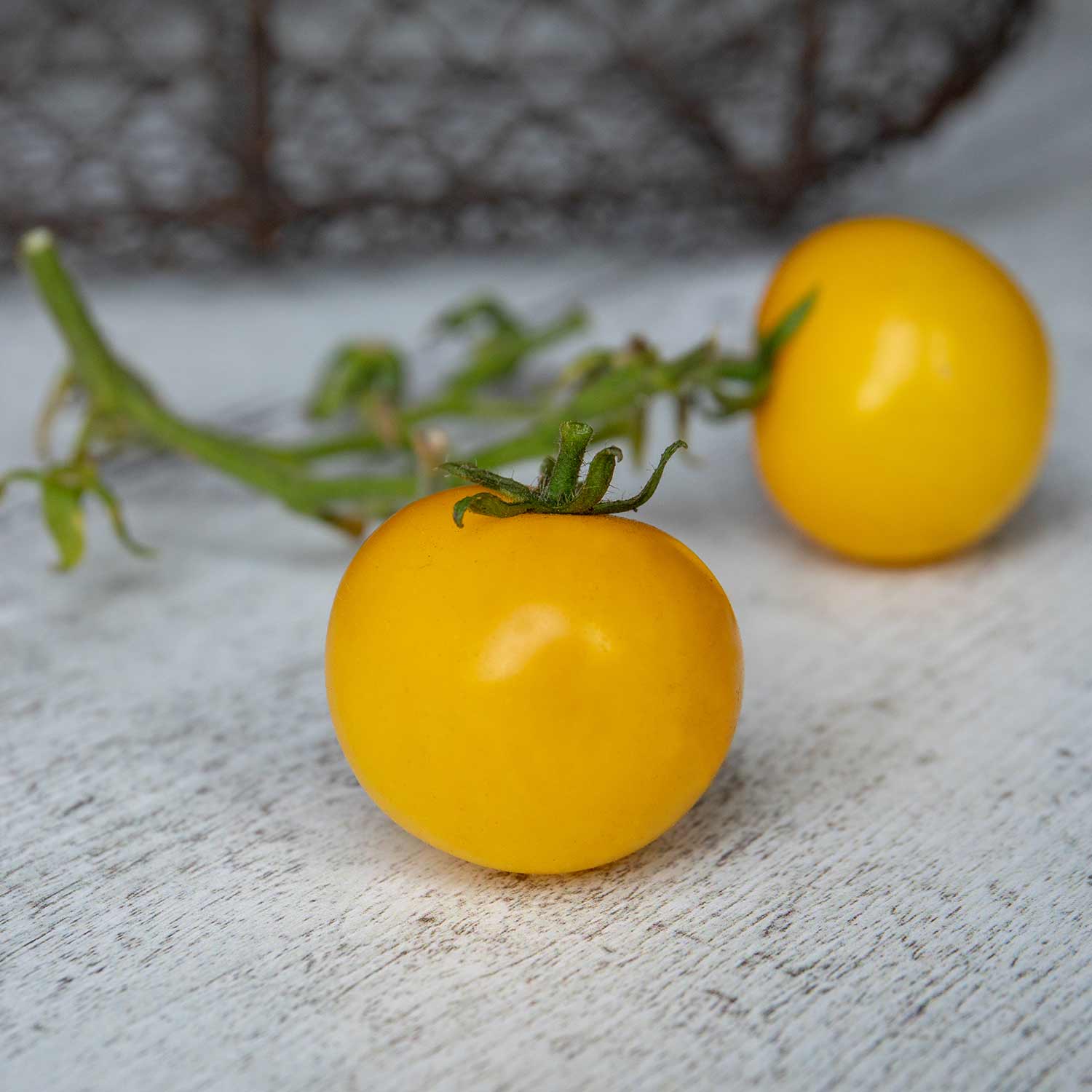 Yellow Perfection Tomato Seeds, Seeds, Rhs Award | 80 Seeds