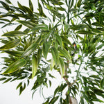 120cm Uv Resistant Artificial Japanese Ficus  Tree