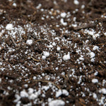 Perlite Horticultural Grade 100l Bag | Set of 1