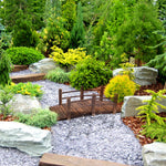 1.5m Wooden Garden Bridge With Railings, Outdoor Pond
