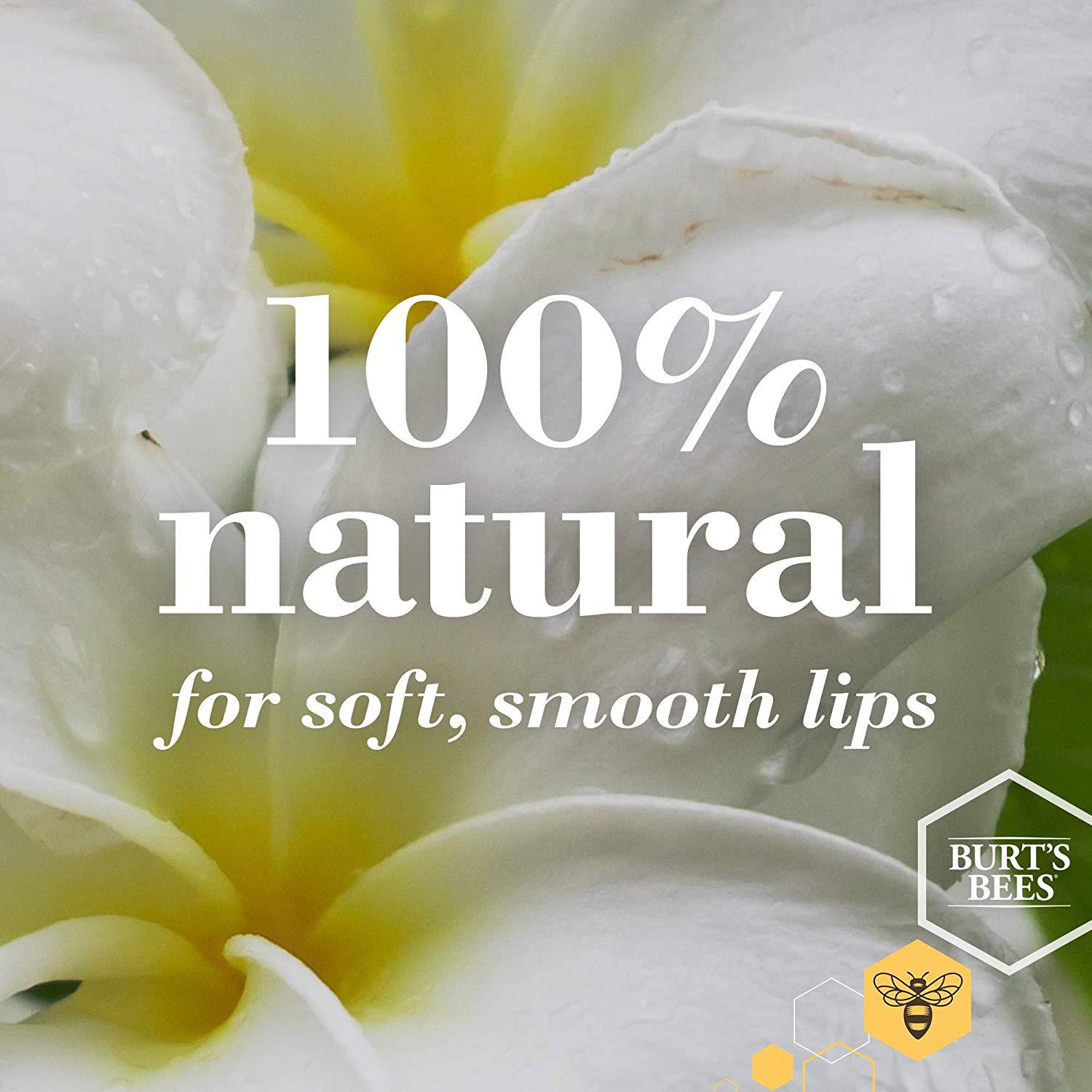 Lip Balm Honey Refill 0.15oz