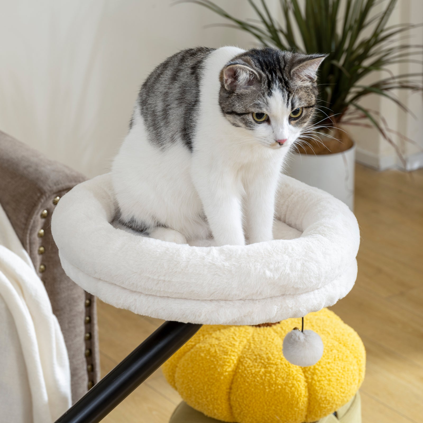 Cat Desk Bed, 360° Rotatable Adjustable Kitten Hammock | Cream