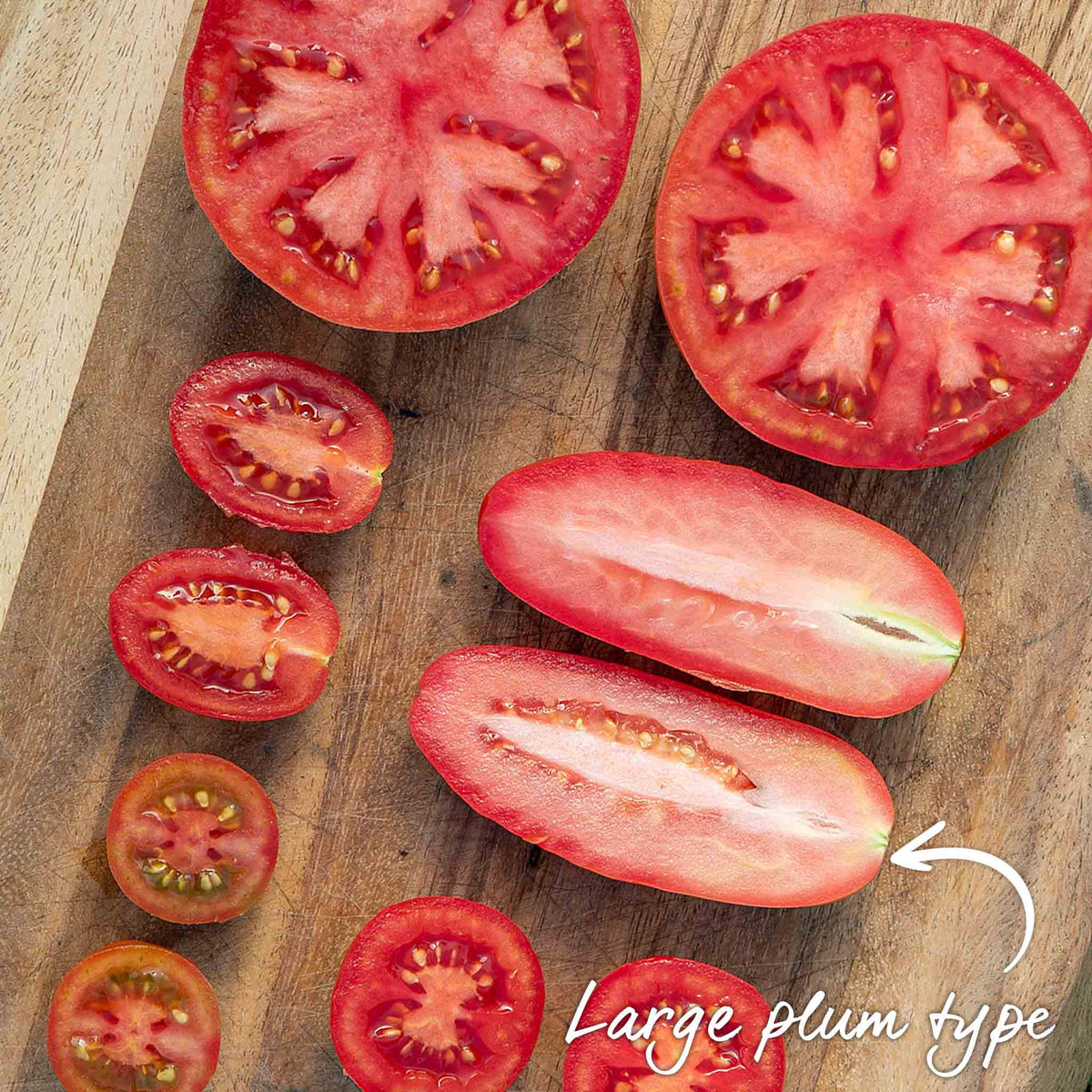 Cordon Tomato Plant 'san Marzano' - Classic Italian Plum Variety 9cm Plants | Set of 3