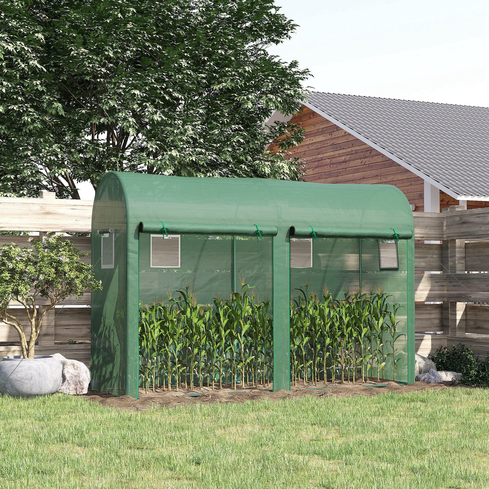 Tomato Greenhouse W/ Double Doors & Windows 3x1x2m